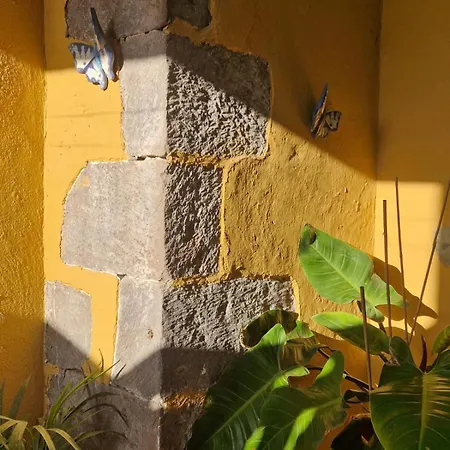 La Escuelita Prázdninový dům Santa Maria de Guia de Gran Canaria